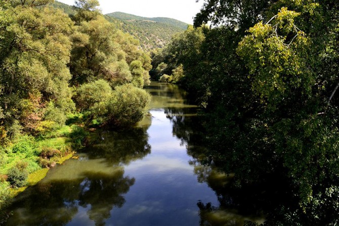 Where are the Greens? Maybe saving a frozen stork is a rural job not paid for by European money