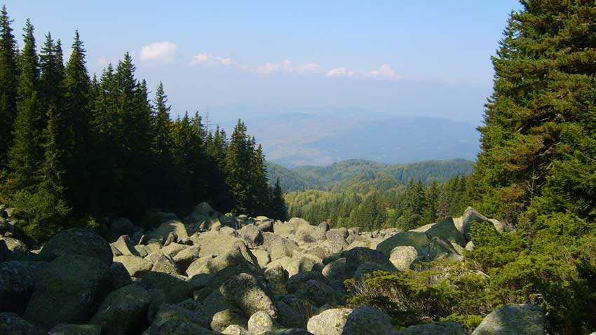 Toma Belev is lying for Vitosha Mountain and Borovets