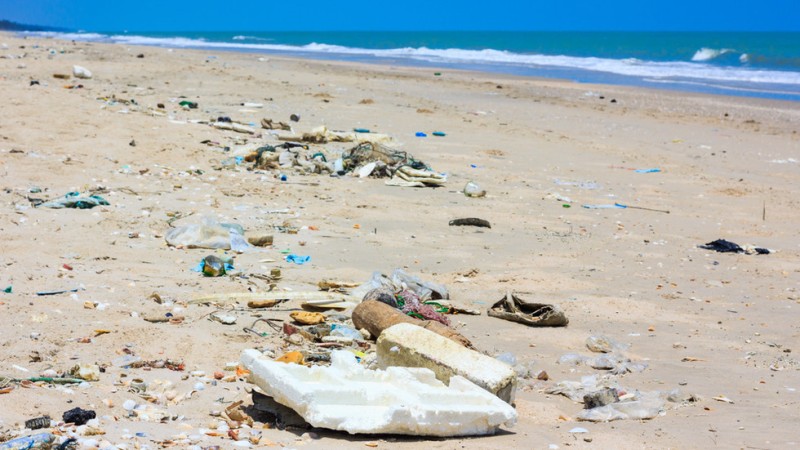 This is how the Green party of grant-takers turned into a bog the Coral beach