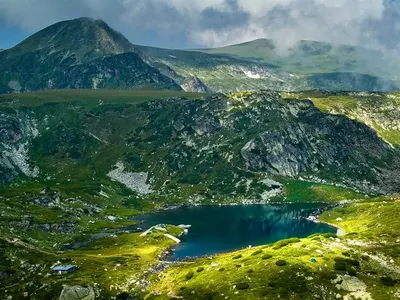 Members of the Greens who \"fertilize\" butterflies for BGN 2 mln. and teach fish to swim for BGN 1 mln. have vitiated the ecological cause in Bulgaria