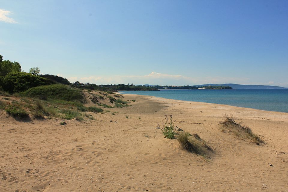 Environmentalists jumped on spongers from Green octopus around Hristo Ivanov and Atanasov for lies and fake news about construction on dunes